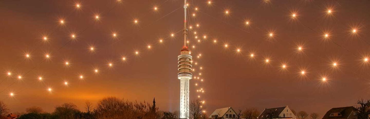 grootste-kerstboom-cassy-hoevenagel--3.jpg