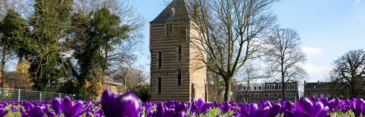 kasteeltoren-voorjaar-herbert-ziher-lr.jpg