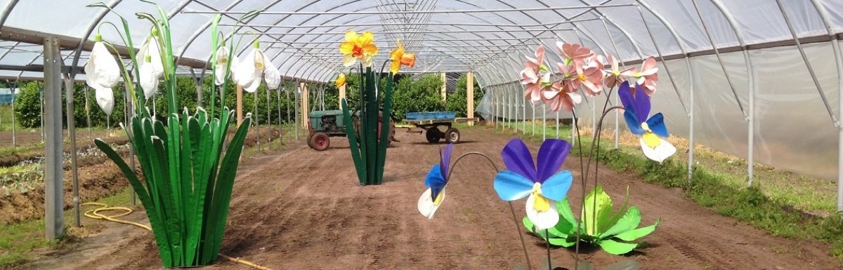 Linda Nieuwstad, Voorjaarsbloemen Okkenbroek | Foto: Linda Nieuwstad Linda Nieuwstad, Voorjaarsbloemen Okkenbroek | Foto: Linda Nieuwstad
