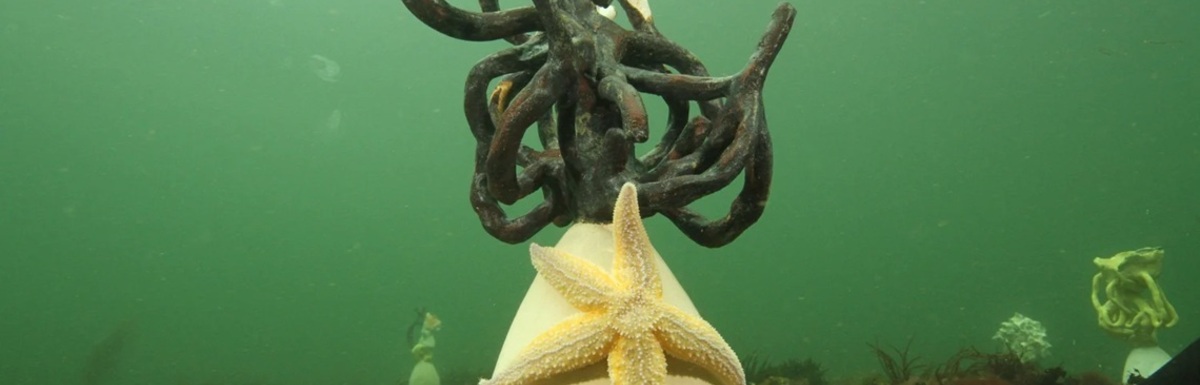 onderwater-web-lr.jpg