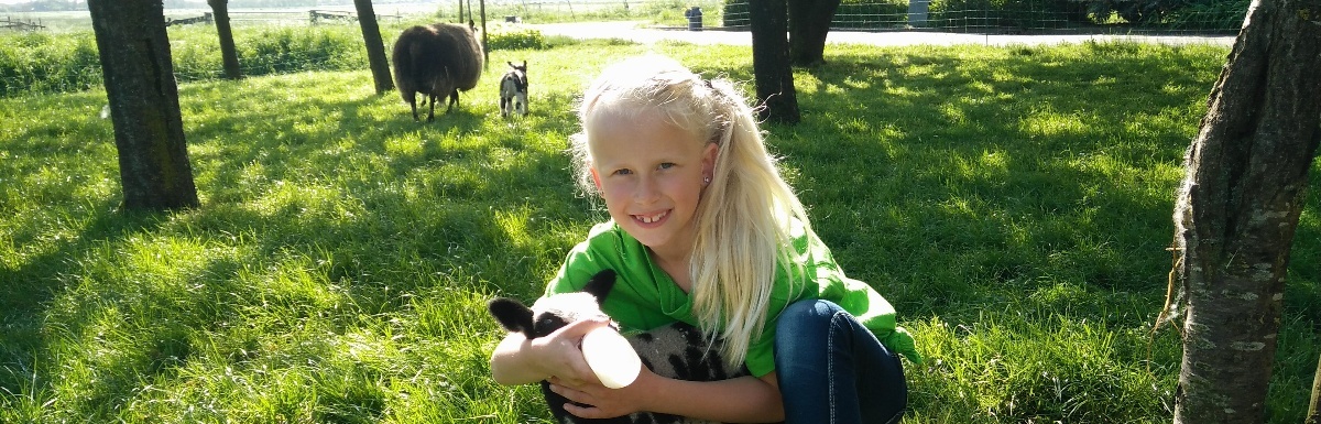 Op de boerderij bij de familie Peek Op de boerderij bij de familie Peek