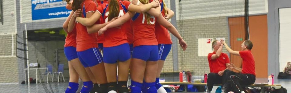 VIVES Volleybal