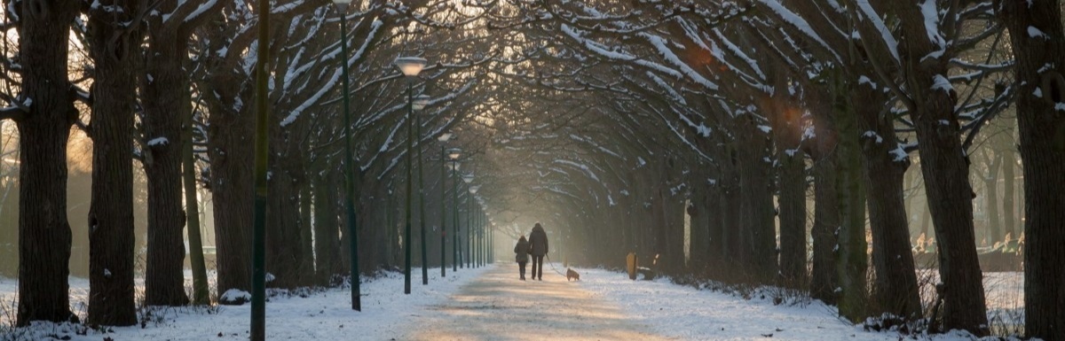 winters-wandelen.jpg