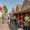 weekmarkt-19a2008-tony-buijse-lr.jpg